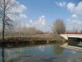 Río Cea